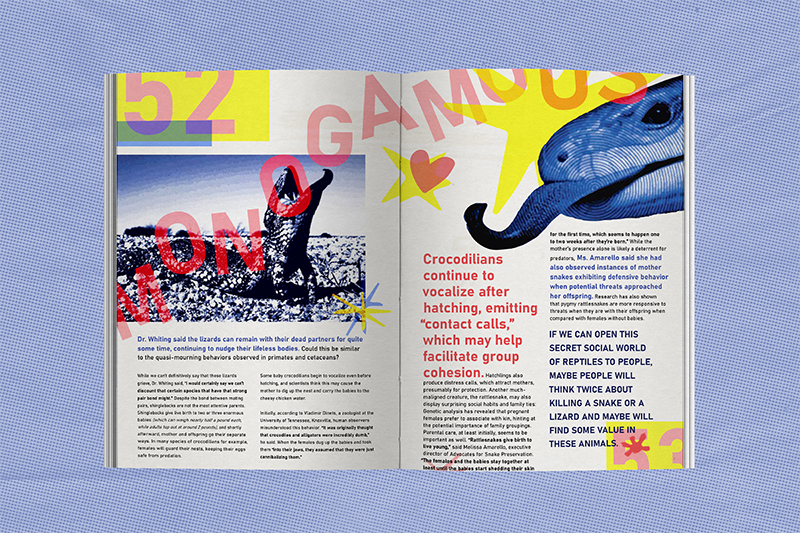 article spread 3